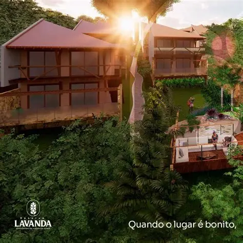 RESERVA LAVANDA - VIÇOSA CE miniatura 1