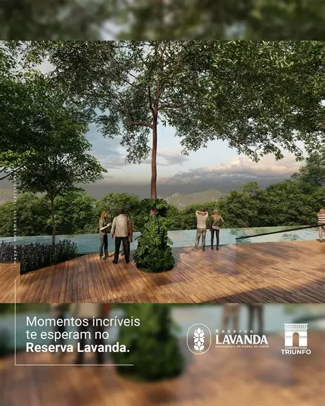 RESERVA LAVANDA - VIÇOSA CE miniatura 2
