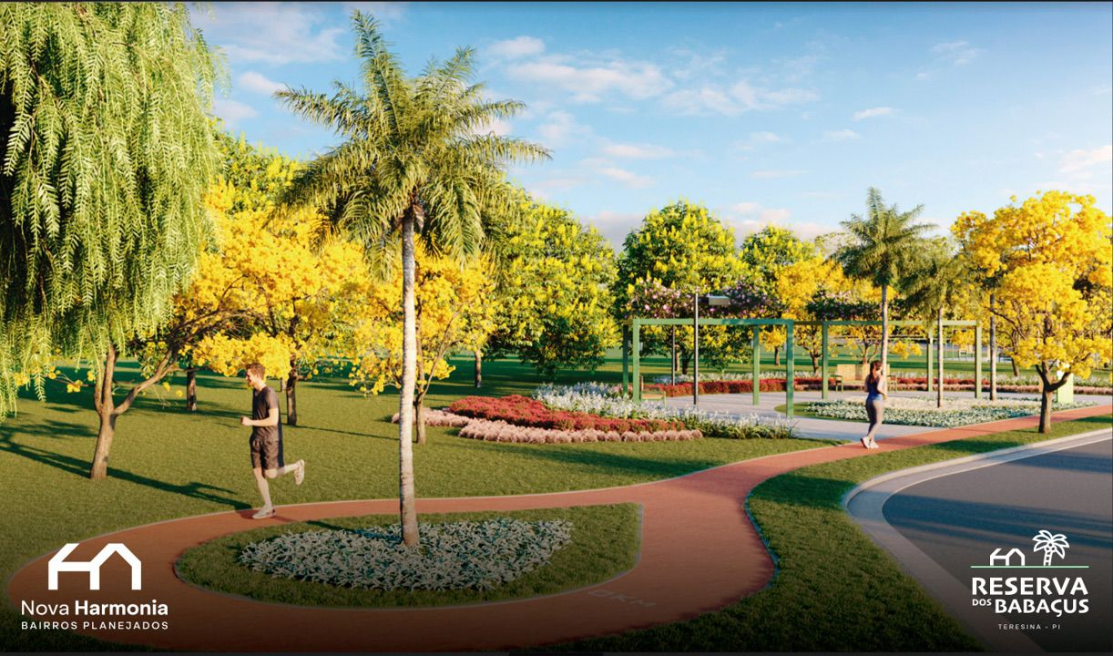RESERVA DOS BABAÇUS - SEU LOTE COM VALORIZAÇÃO miniatura 4