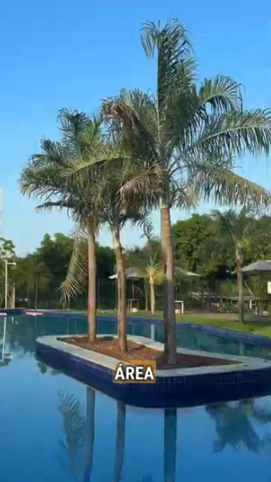 APARTAMENTO PRONTO ZONA LESTE - RESERVA TROPICAL